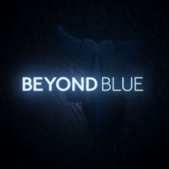 Cover Beyond Blue