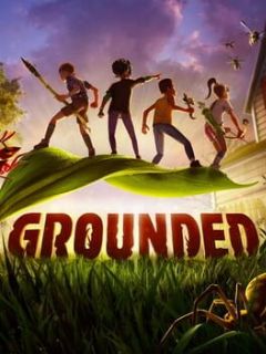 Cover Grounded