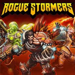 Cover Rogue Stormers