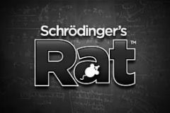 Cover Schrödinger’s Rat