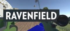 Cover Ravenfield