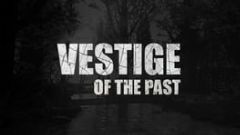 Cover Vestige of the Past