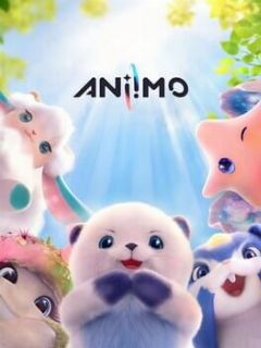 Cover Aniimo