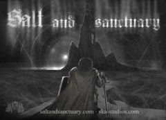 Cover Salt and Sanctuary